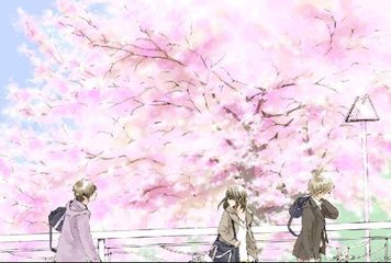 蘑菇tv网页版登录入口
